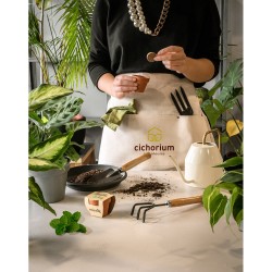 maceta-barro-semillas-menta-personalizada